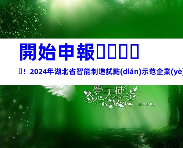 開始申報！2024年湖北省智能制造試點(diǎn)示范企業(yè)申報條件、要素及申報時間